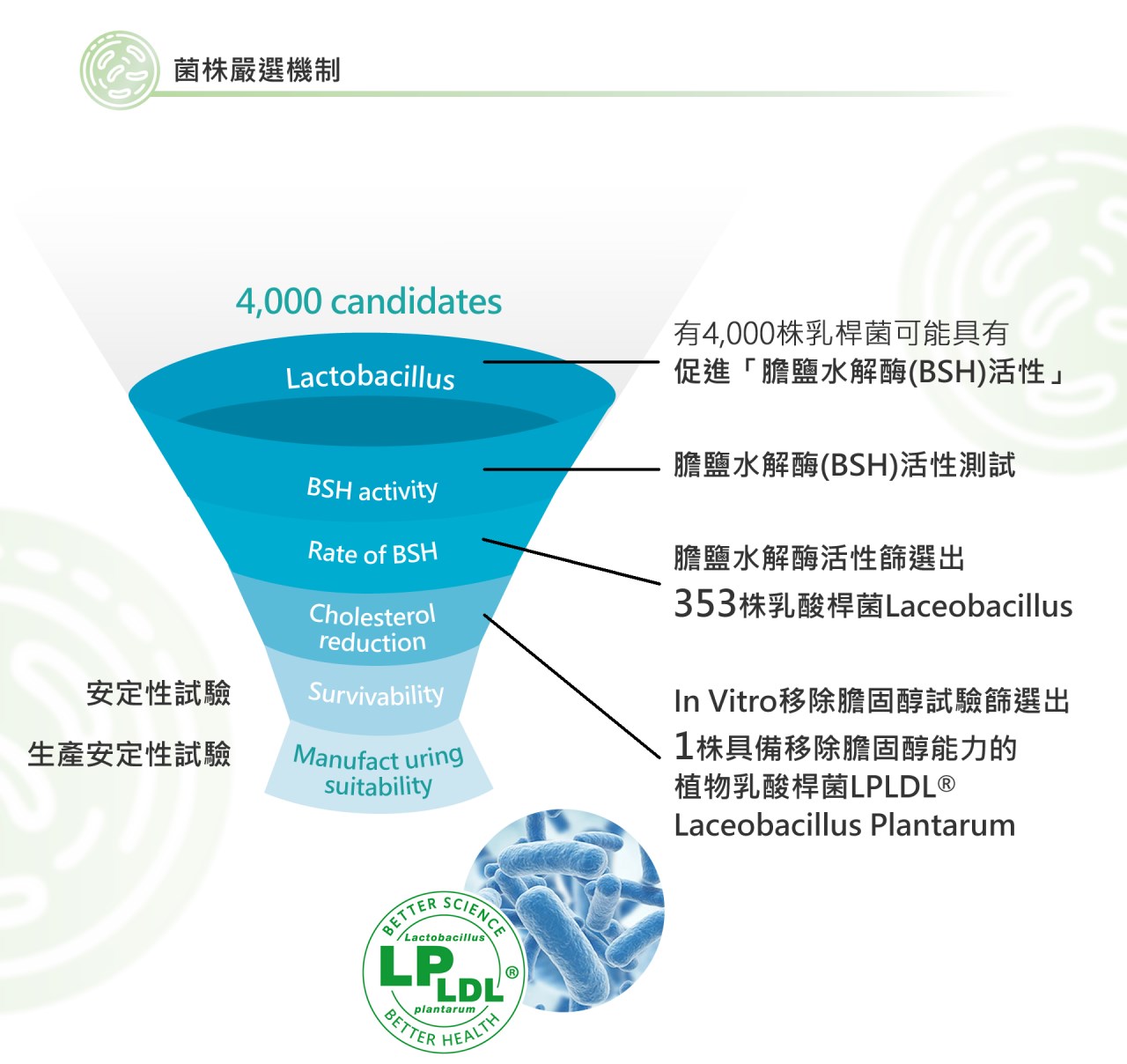 LPLDL®