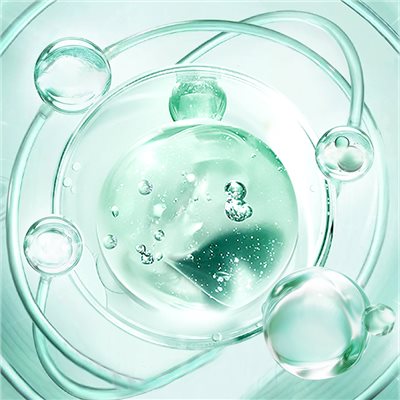 循環系統