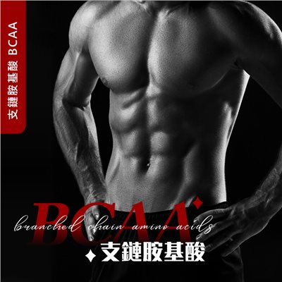 支鏈胺基酸 BCAA