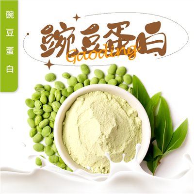 豌豆蛋白