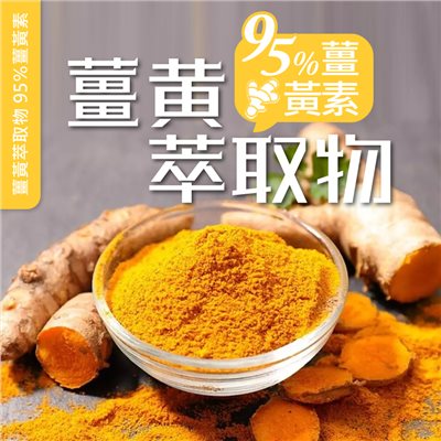 薑黃萃取物 95％薑黃素